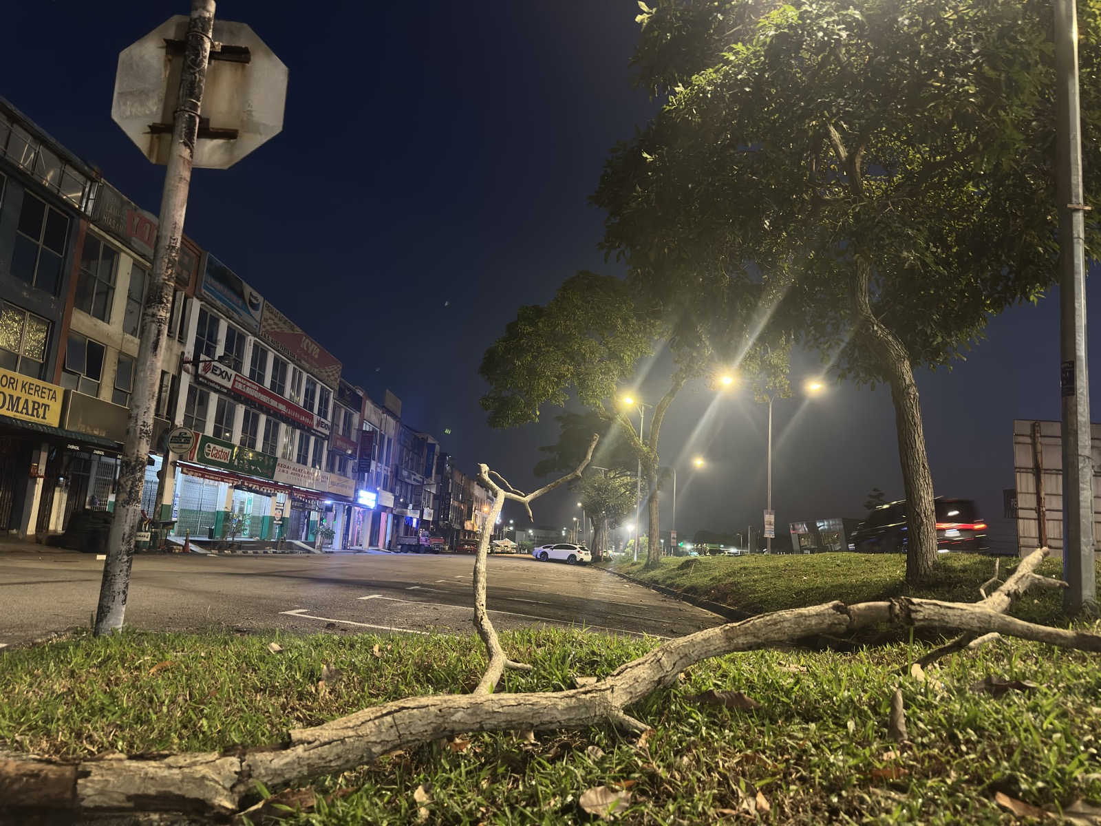 Fallen tree branches on the sidewalk — JB night