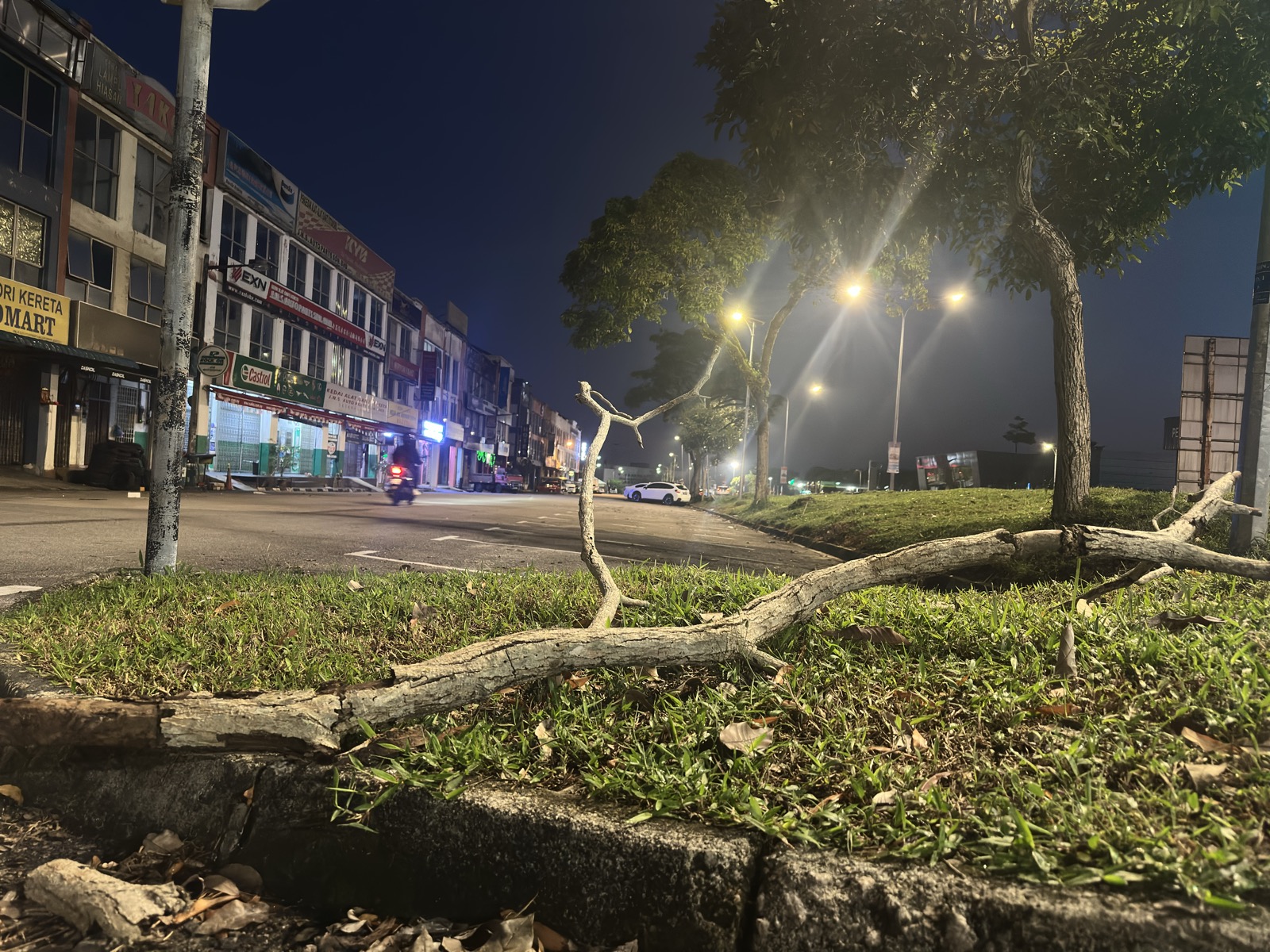 Tree debris on the street — the city maintains itself