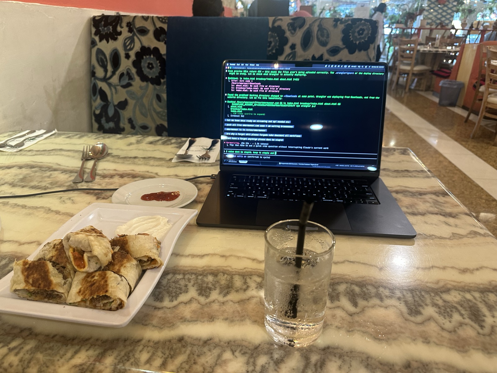 Spring rolls with MacBook
